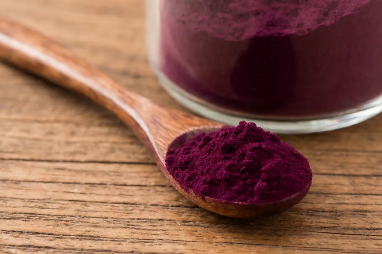 Pó de aronia roxo-escuro em colher e pote
