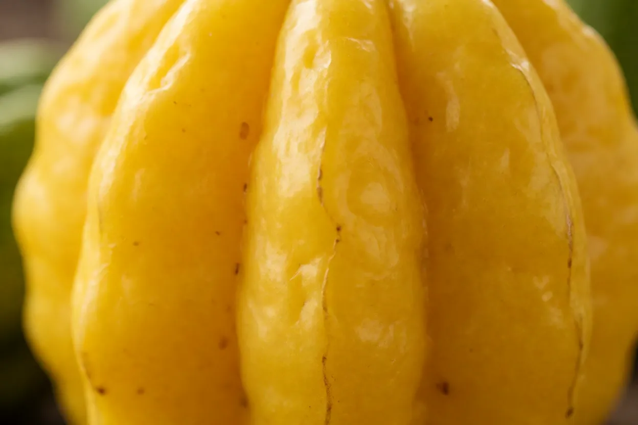 Close-up da casca amarela do babaco maduro com cinco quinas