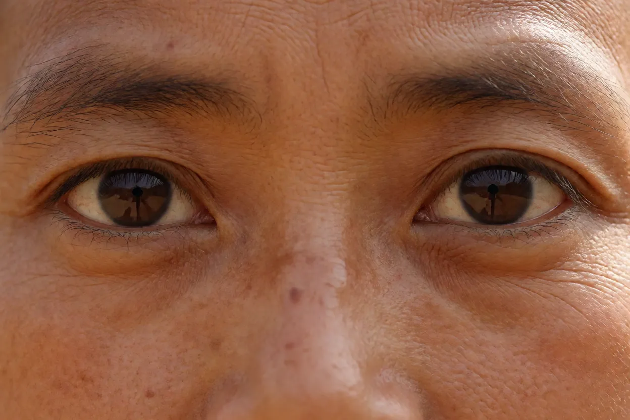 Close extremo da cabeça do gafanhoto-peregrino mostrando olhos compostos e antenas curtas