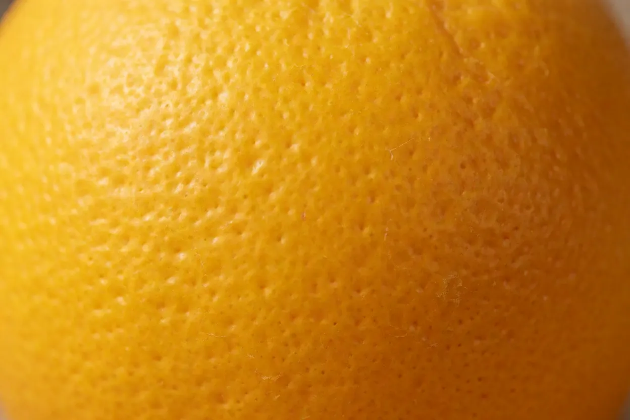 Close-up da casca fina da laranja-pera