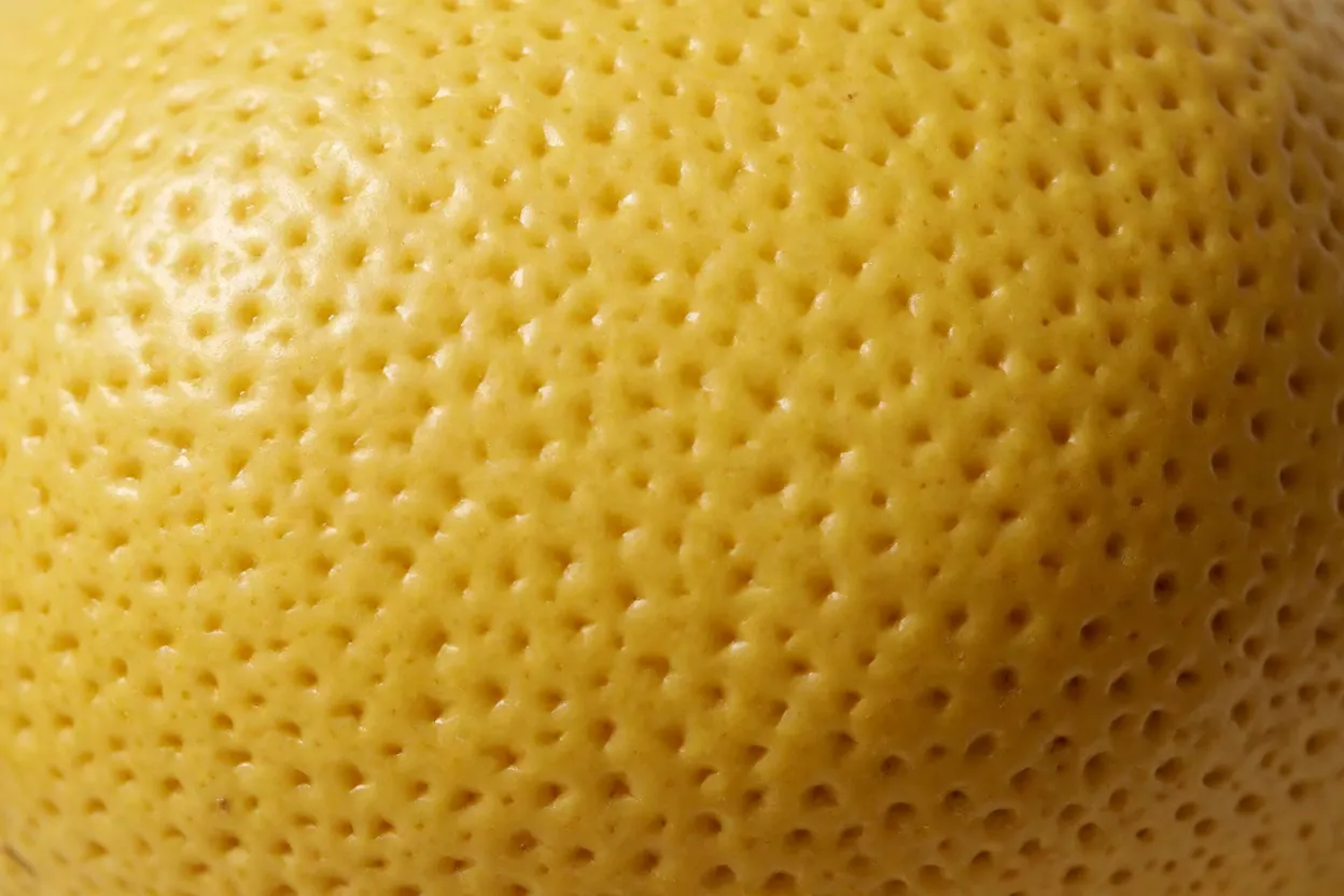 Close-up da casca fina da lima-da-pérsia